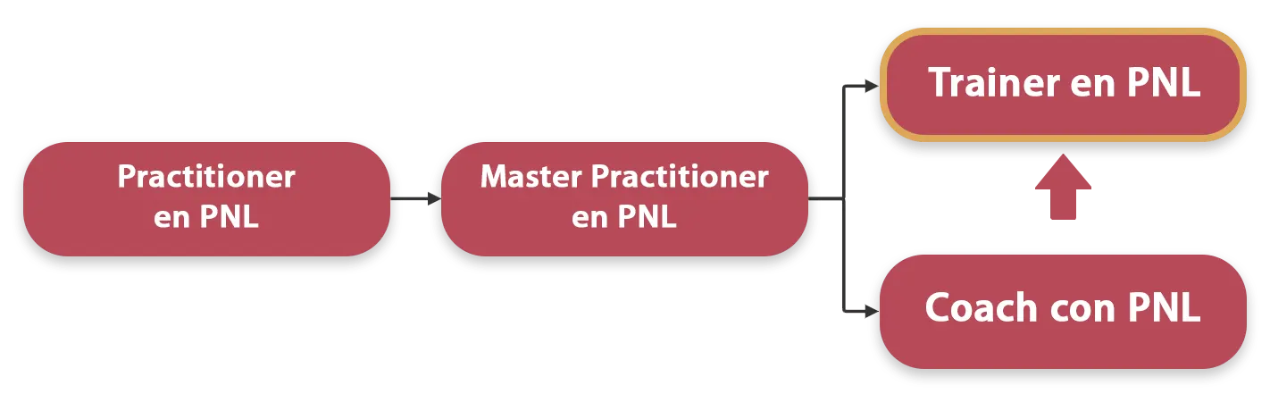 Mapa de Carrera de PNL, Trainer en PNL